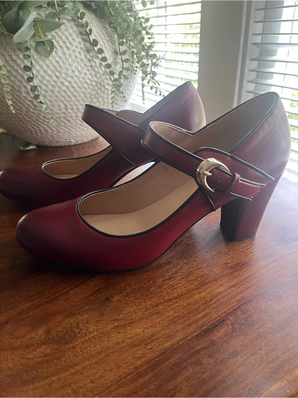 Burgundy Ombré Mary Jane Pumps with Block Heel | Vintage-Inspired | Size 10